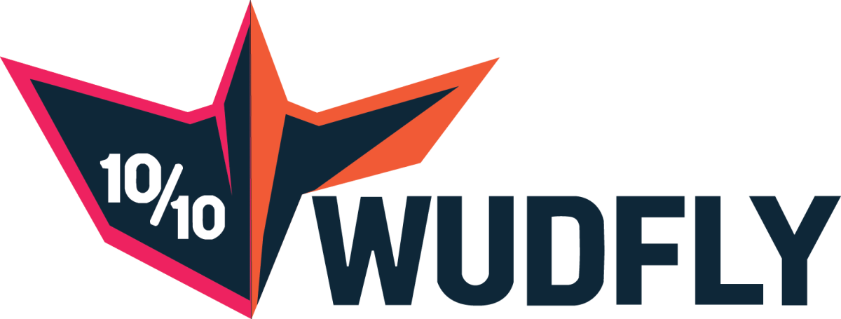 WUDFLY - 3D PRINTED AIRCRAFT